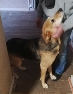 Accueillir dans un lieu de vie innovant à dimension collective-1