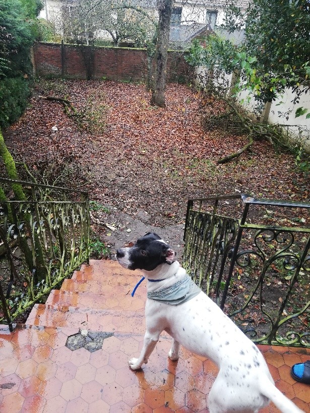 Accueillir dans un lieu de vie innovant à dimension collective-2